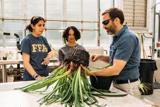 agriculture industry