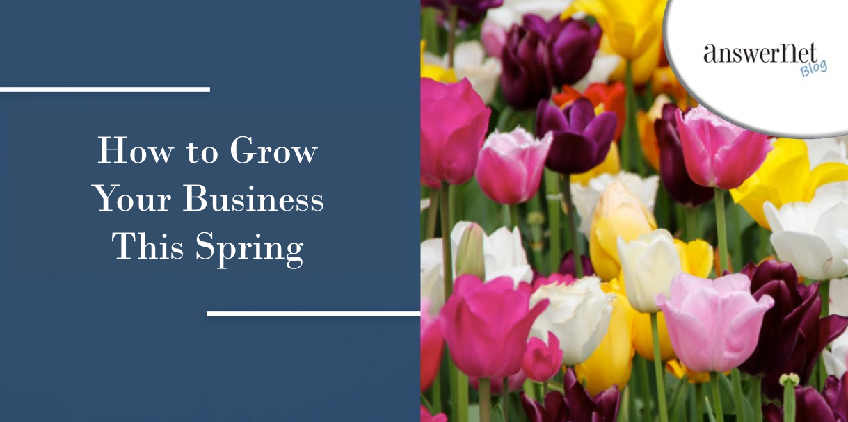 Spring Into Success: How to Grow Your Business This Season