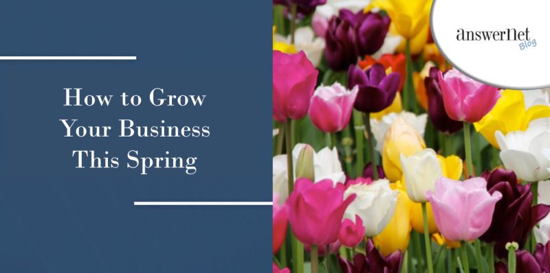 How to Grow Your Business This Spring
