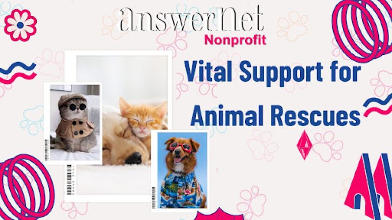 Support for Animal Rescues